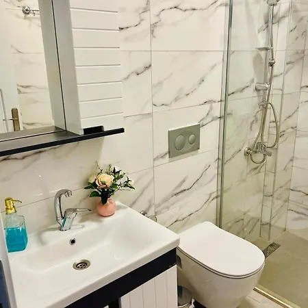 Apartament Wonderful House In Center #okyanushomesfethiye *
